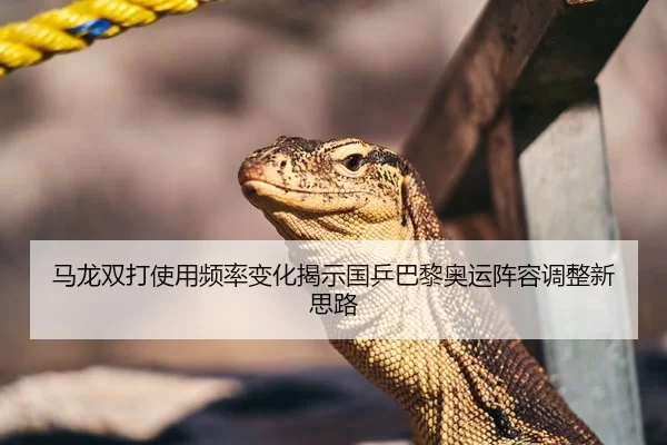 马龙双打使用频率变化揭示国乒巴黎奥运阵容调整新思路