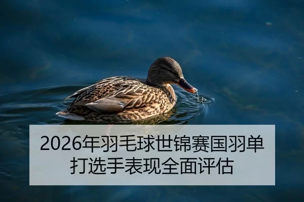 2026年羽毛球世锦赛国羽单打选手表现全面评估