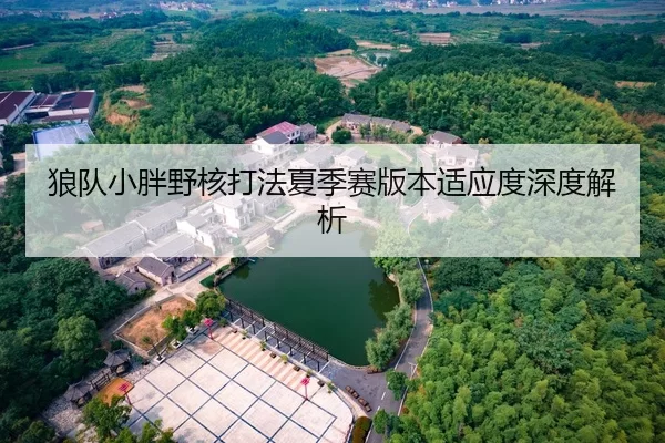 狼队小胖野核打法夏季赛版本适应度深度解析