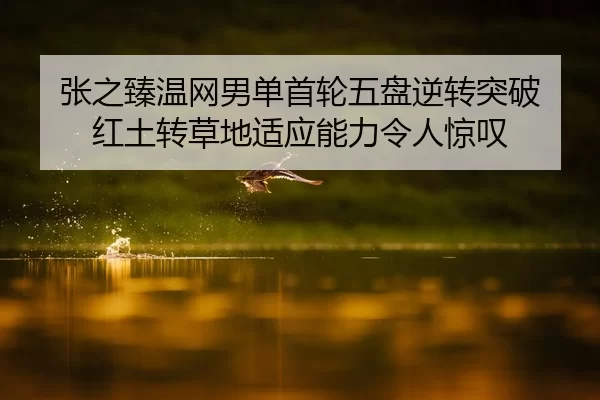张之臻温网男单首轮五盘逆转突破 红土转草地适应能力令人惊叹