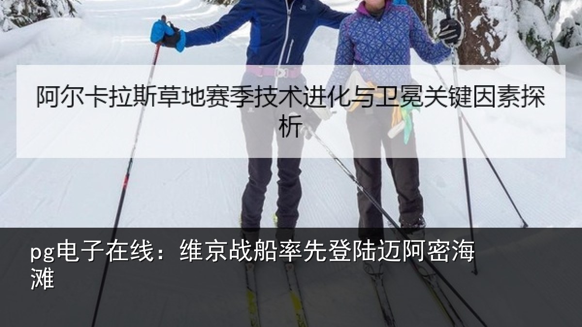 pg电子在线：维京相关情况密海滩