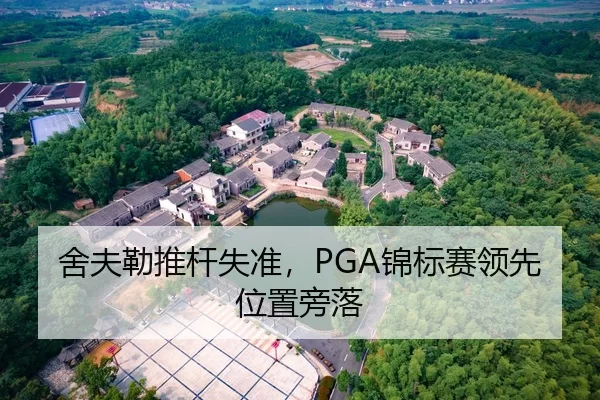 舍夫勒推杆失准，PGA锦标赛领先位置旁落