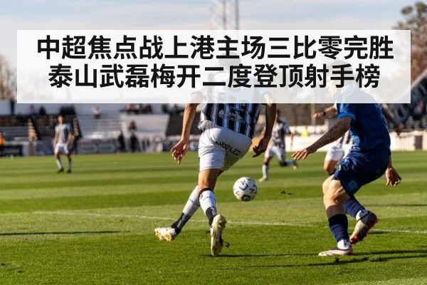 soccer stadium action